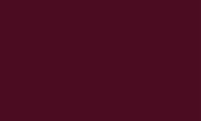 3193 Plum