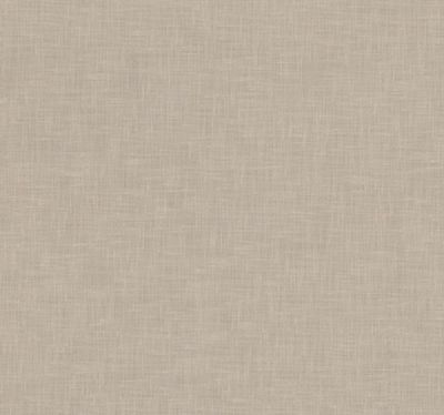 F236 KOTON VİZON
