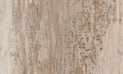 4622 Iceland Oak 2