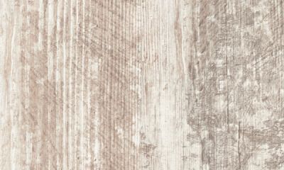 9100 Aged Beech Cream