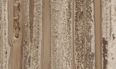 4540 Dark Ash