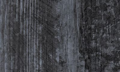 9101 Aged Beech Grey